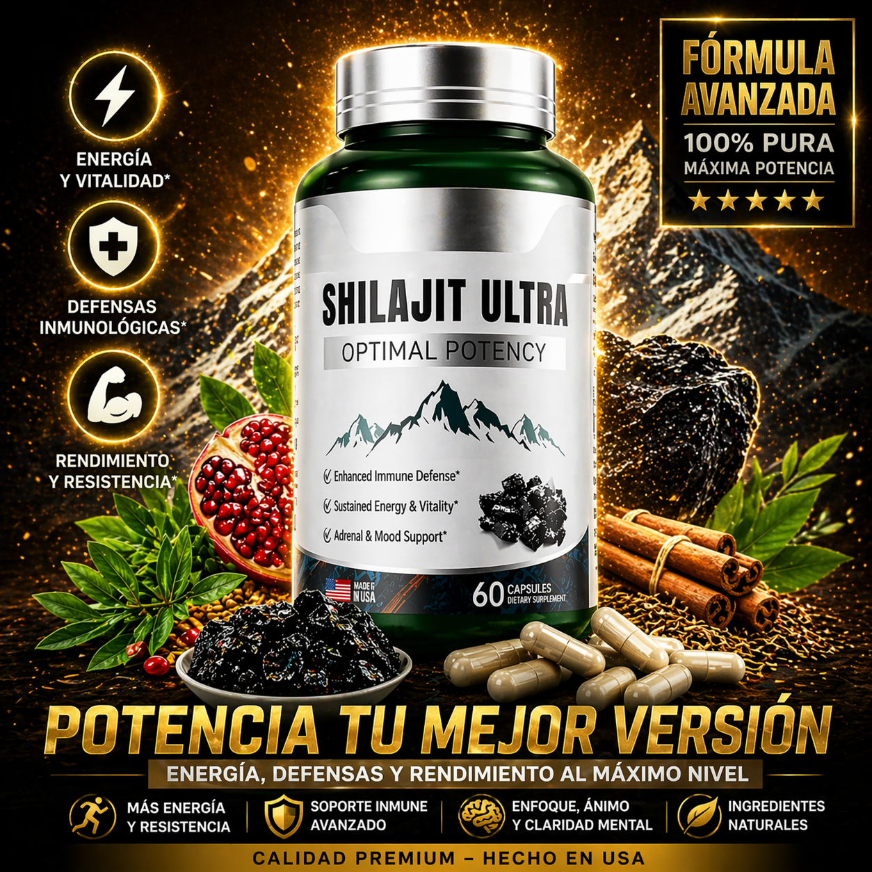 SHILAJIT | PARA QUIENES BUSCAN SNTIRSE AL MAXIMO